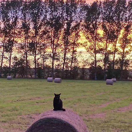 Kompass Nahe Der Ostsee Im Gruenen Apartmán Bad Doberan